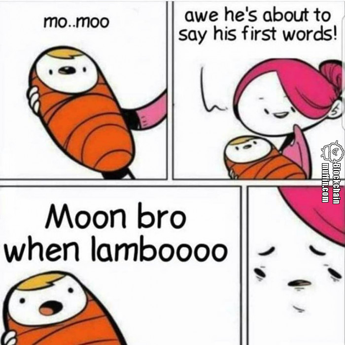 To the MOON bro! When Lambo?