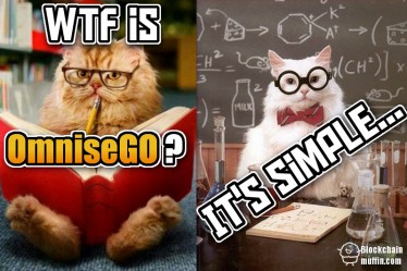What is OmniseGO? | Beginner's Guide