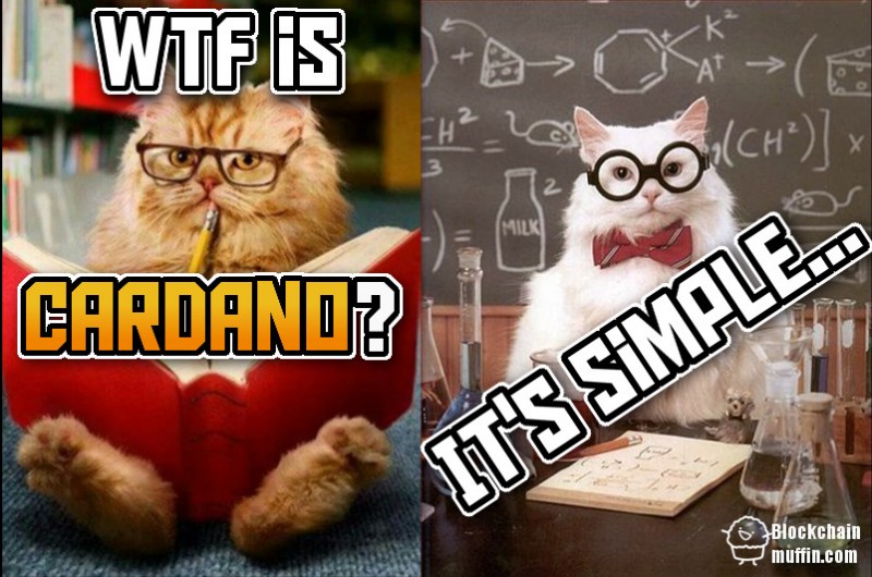 What is Cardano? | Beginner’s Guide