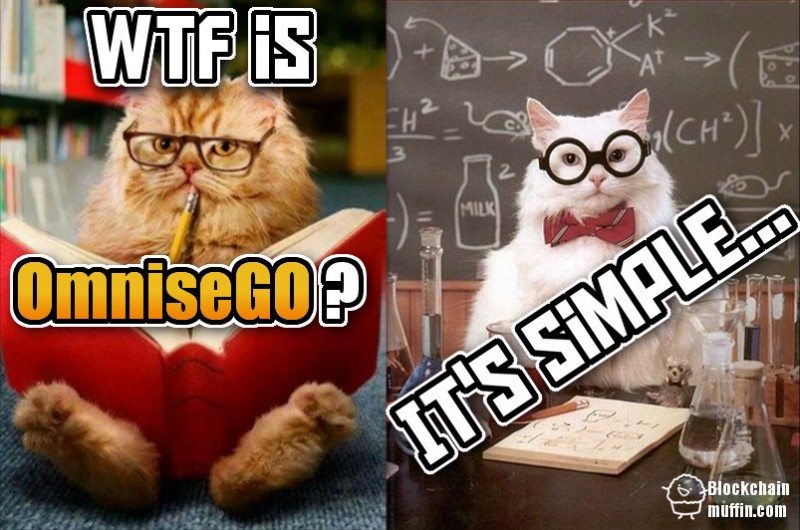 What is OmniseGO? | Beginner's Guide